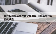 自行车旅行车图片大全集简单,自行车旅行车的优缺点